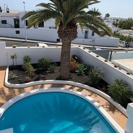Palm بويرتو ذيل كارمين