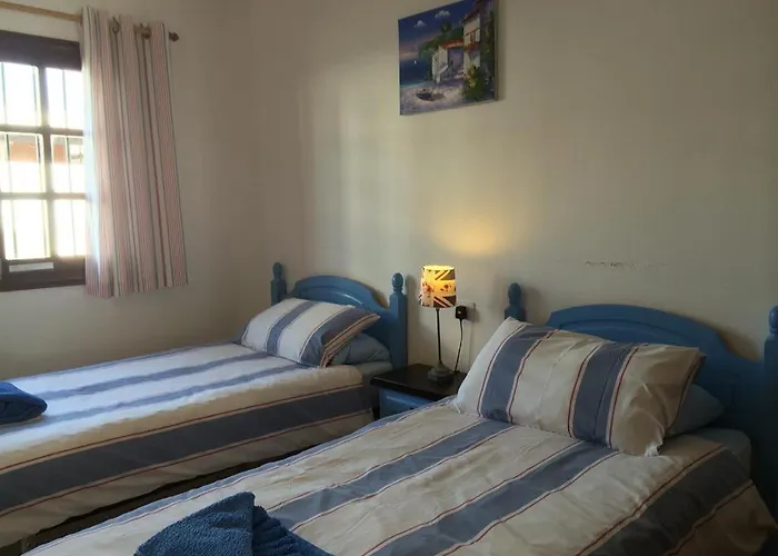 Palm فيلة بويرتو ذيل كارمين