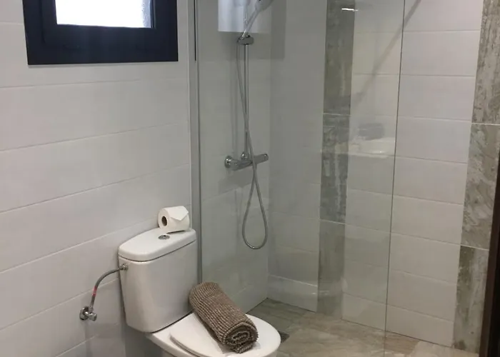 Palm فيلة بويرتو ذيل كارمين